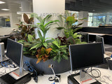 Edith Cowan University (ECU) Library - Artificial Plants for Built-in Cabinets / Planters | ARTISTIC GREENERY