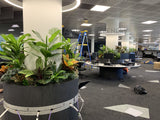 Edith Cowan University (ECU) Library - Artificial Plants for Built-in Cabinets / Planters | ARTISTIC GREENERY