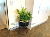 Metal Round Planter / Stand - Black (Product: MRPLANTER-S82) | ARTISTIC GREENERY