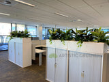 Schlumberger Australia (Perth) - Greenery Wall & Plants for Tambour Units | ARTISTIC GREENERY