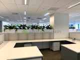 Schlumberger Australia (Perth) - Greenery Wall & Plants for Tambour Units | ARTISTIC GREENERY