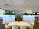 Schlumberger Australia (Perth) - Greenery Wall & Plants for Tambour Units | ARTISTIC GREENERY