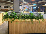 Sushi Sushi (Midland) - Mixture of Greenery for Built-in Planters | ARTISTIC GREENERY