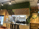 Smash Grill (FOMO FREO) Fremantle - Feature Wall & Creeping Greenery | ARTISTIC GREENERY