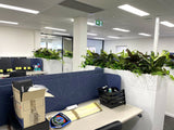 Department of Fire and Emergency Services (DFES) O'Connor - Artificial Plants for Tambour Units | ARTISTIC GREENERY