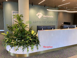 Bethesda Clinic (Cockburn Central) - Artificial Plants for Reception & Waiting Areas | ARTISTIC GREENERY