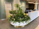 Bethesda Clinic (Cockburn Central) - Artificial Plants for Reception & Waiting Areas | ARTISTIC GREENERY