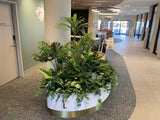 Bethesda Clinic (Cockburn Central) - Artificial Plants for Reception & Waiting Areas | ARTISTIC GREENERY