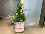 Bethesda Clinic (Cockburn Central) - Artificial Plants for Reception & Waiting Areas | ARTISTIC GREENERY