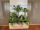 Bethesda Clinic (Cockburn Central) - Artificial Plants for Reception & Waiting Areas | ARTISTIC GREENERY