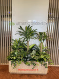 Bethesda Clinic (Cockburn Central) - Artificial Plants for Reception & Waiting Areas | ARTISTIC GREENERY