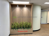 Ramsay Health Care (Mount Pleasant) - Artificial Plants for Reception & throughout the Clinic | ARTISTIC GREENERY