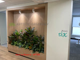 Ramsay Health Care (Mount Pleasant) - Artificial Plants for Reception & throughout the Clinic | ARTISTIC GREENERY