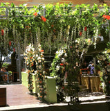 The Garden (Leederville) - Native Flower Wall / Arches / Truss Pavilion Hire