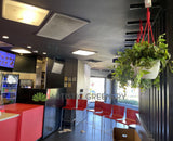 KFC (Maylands) - Macrame Plant Hangers | ARTISTIC GREENERY