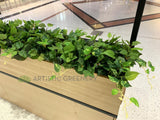 Caffissimo Cafe Kiosk Whitford  - Small Greenery for Built-in Planters / Booths | ARTISTIC GREENERY Commerical Fitout with Artificial Plants WA