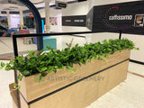 Caffissimo Cafe Kiosk Whitford  - Small Greenery for Built-in Planters / Booths | ARTISTIC GREENERY Commerical Fitout with Artificial Plants WA