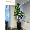 Jani King (Osborne Park) - Artificial Trees in Pots Throughout Office | ARTISTIC GREENERY