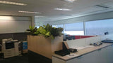 Japan MIMI - Office Planter Partitions with Silk Dieff. Plants