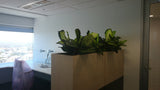 Japan MIMI - Office Planter Partitions with Silk Dieff. Plants