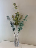 LEA0047 Eucalyptus Foliage 3 Styles (Spring & Autumn)