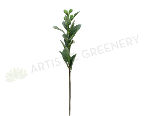 LEA0057 Tetragona Nut Spray 72cm