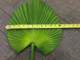 LEA0072M Medium
