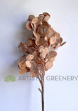 LEA0119 "Dried Look" Silver Dollar Eucalyptus Spray 95cm (Brown) | ARTISTIC GREENERY