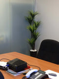 Losugen - Artificial Trees in Pots Throughout the Office