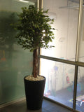 Losugen - Artificial Trees in Pots Throughout the Office