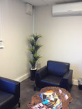 Losugen - Artificial Trees in Pots Throughout the Office