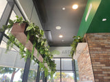 MK Pizza Coolbellup  - Hanging Greenery for Built-in Planters and Shelf | ARTISTIC GREENERY Commerical Fitout with Artificial Plants WA