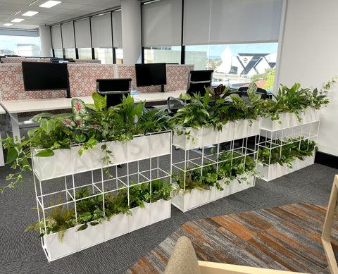 Metso Outotect (West Perth) - Artificial Plants for Freestanding & Built-in Planters Throughout the Office | ARTISTIC GREENERY