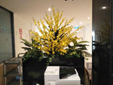 Metso Outotect (West Perth) - Artificial Plants for Freestanding & Built-in Planters Throughout the Office