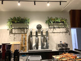 Port City Roasters (South Fremantle) - Artificial Plants for Display Shelves & Hanging Baskets with Plants