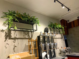 Port City Roasters (South Fremantle) - Artificial Plants for Display Shelves & Hanging Baskets with Plants