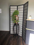 Home Salon Reception (Fremantle) - Custom-made Bonsai | ARTISTIC GREENERY