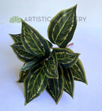 SP0026XS Faux Peacock Plant / Prayer Plant 39cm | ARTISTIC GREENERY 