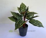 SP0026XS Faux Peacock Plant / Prayer Plant 39cm | ARTISTIC GREENERY 