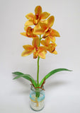 SP0045 Cymbidium Orchid Stem with Leaves 42cm 4 Colours