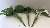SP0056-60 Monstera / Swiss Cheese plant Plant 60cm (set of 3)