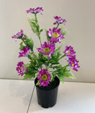 SP0079NEW Gerbera Daisy Bunch 41cm 5 Colours - CLEARANCE