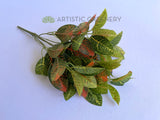 SP0134 Nerve Plant / Fittonia 30cm Orange | ARTISTIC GREENERY