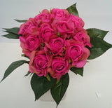 Fuchsia