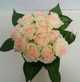 Baby Pink with White