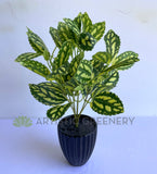 SP0146 Artificial Pilea Cadierei / Watermelon Pilea (Aluminum Plant) 28cm Real Touch Leaves | ARTISTIC GREENERY