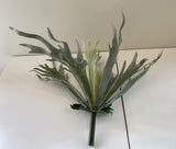 SP0148N Stag Horn Fern 2 Styles