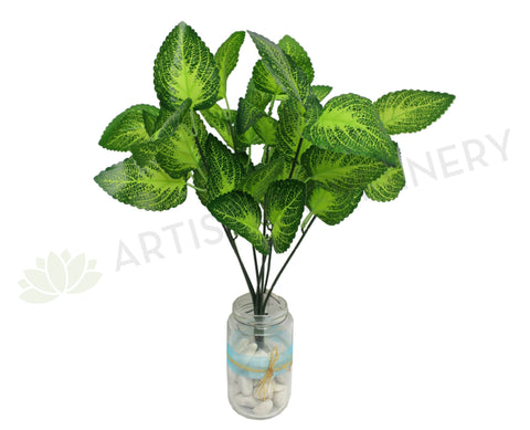 SP0156 Woodland Calamint 37cm Glossy Leaves