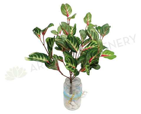 SP0157 Begonias Plant 36cm