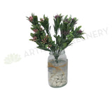 SP0175 Flowering Sage 30cm Pink / Purple